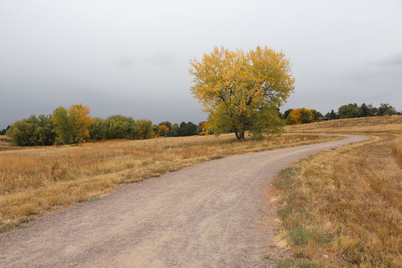 Wynetka Ponds